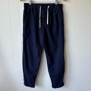 Hollister Men's Linen Blend Blue Chinos | Size Small